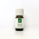 Essenza Freschezza Marina Essenza Freschezza Marina