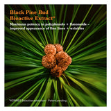 Black Pine Primus Wrinkle Defying Day Cream Black Pine Primus Wrinkle Defying Day Cream