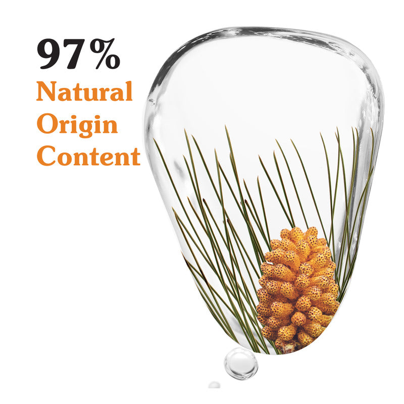 Black Pine Primus Youth Renewal Sleeping Facial Night Cream Black Pine Primus Youth Renewal Sleeping Facial Night Cream