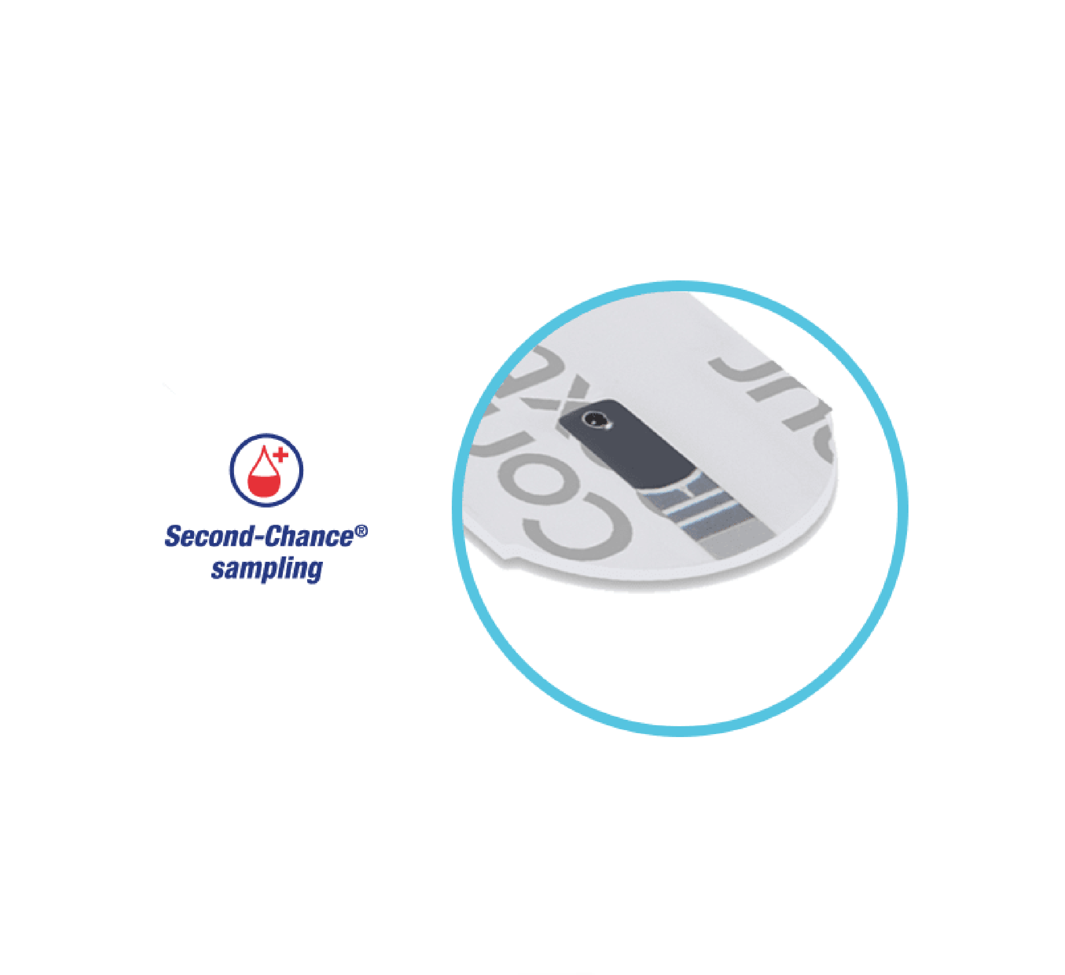 Contour Plus Blood Glucose Test Strips *50pcs Contour Plus Blood Glucose Test Strips *50pcs