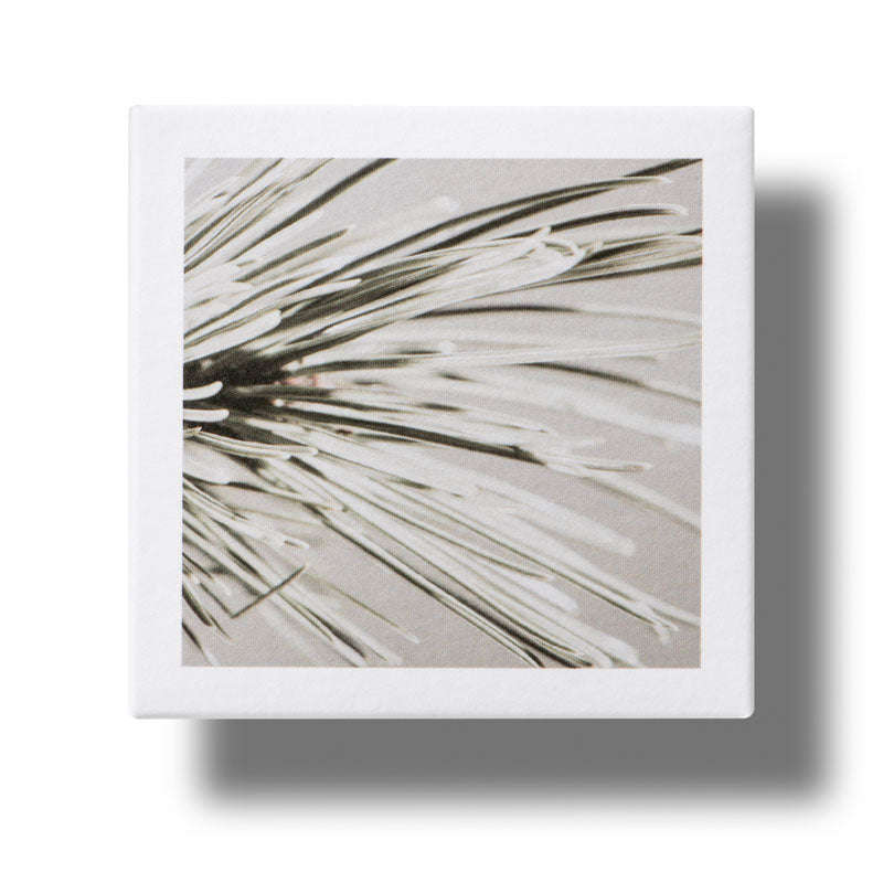 Apothecary Wild Rose Night-Brightening Sleeping Facial Apothecary Wild Rose Night-Brightening Sleeping Facial