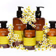 Gentle Daily Shampoo Ecopack 500ml