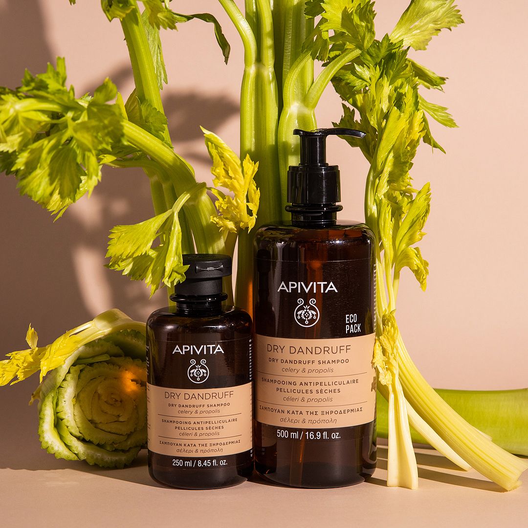 Dry Dandruff Shampoo Ecopack 500ml