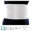 3016 Abdominal Rib Support 16 cm (Korse)