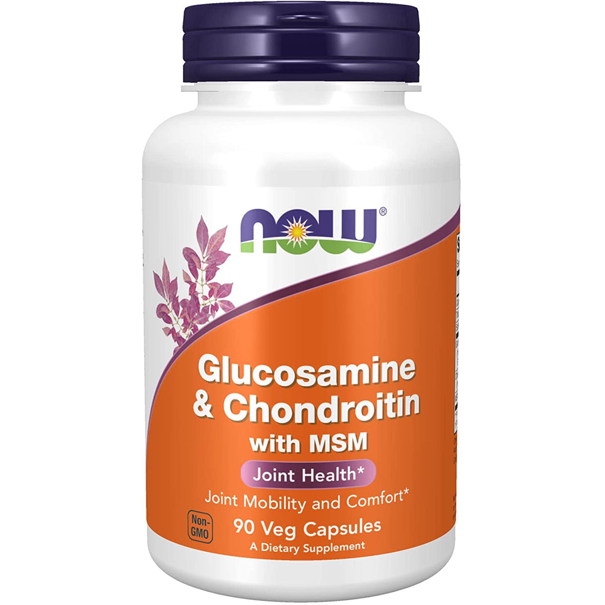 Glucosamine & Chondroitin with MSM Veg Capsules