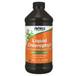 LIQ CHLOROPHYLL & MINT 16 OZ