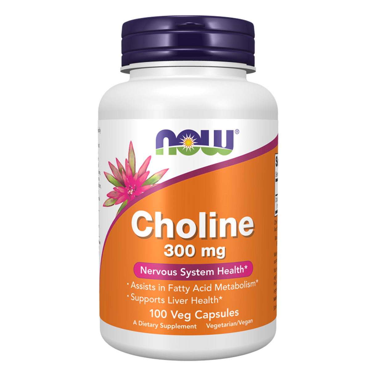 CHOLINE 300 MG 100 VCAPS-NOW