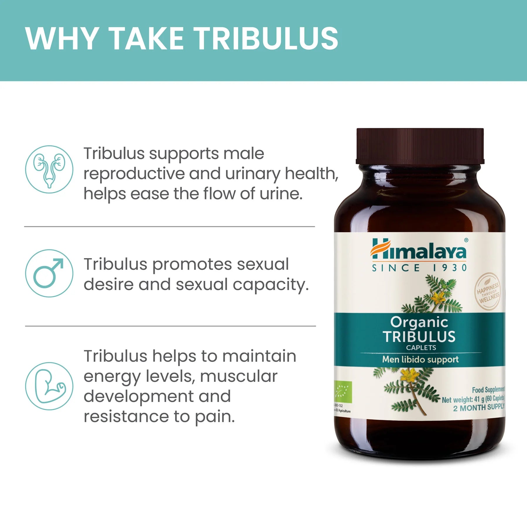ORGANIC TRIBULUS 60 TABLETA