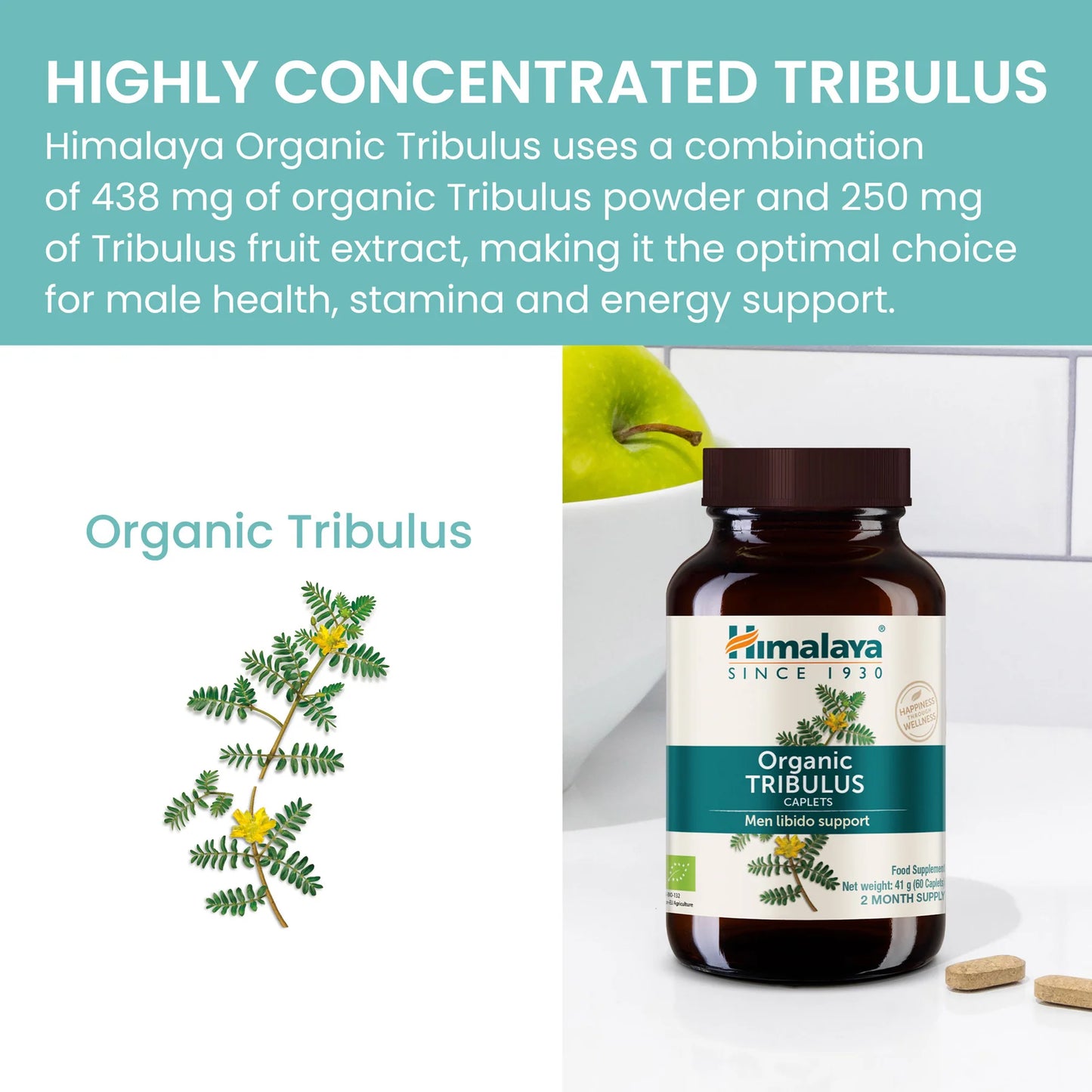 ORGANIC TRIBULUS 60 TABLETA
