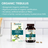 ORGANIC TRIBULUS 60 TABLETA