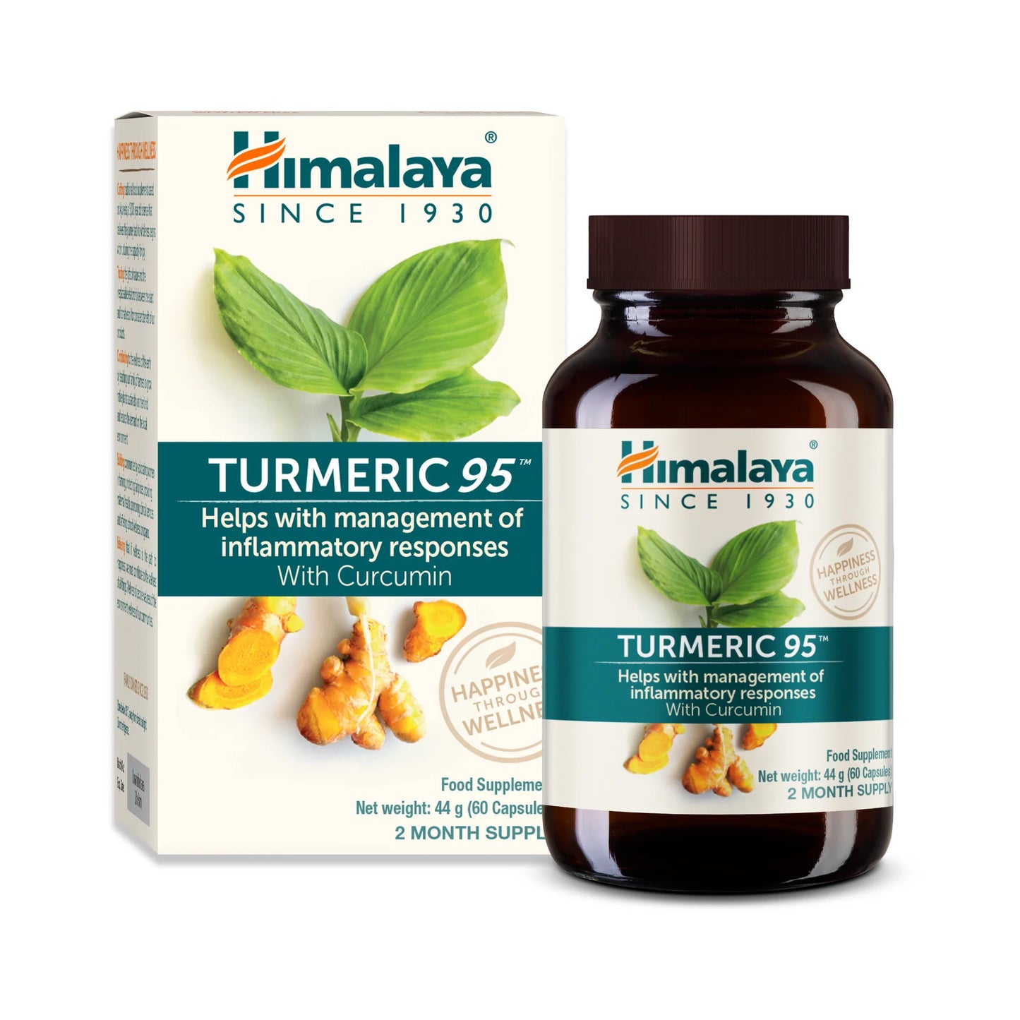 TURMERIC 95 (CURCUMIN) 60 TABLETA