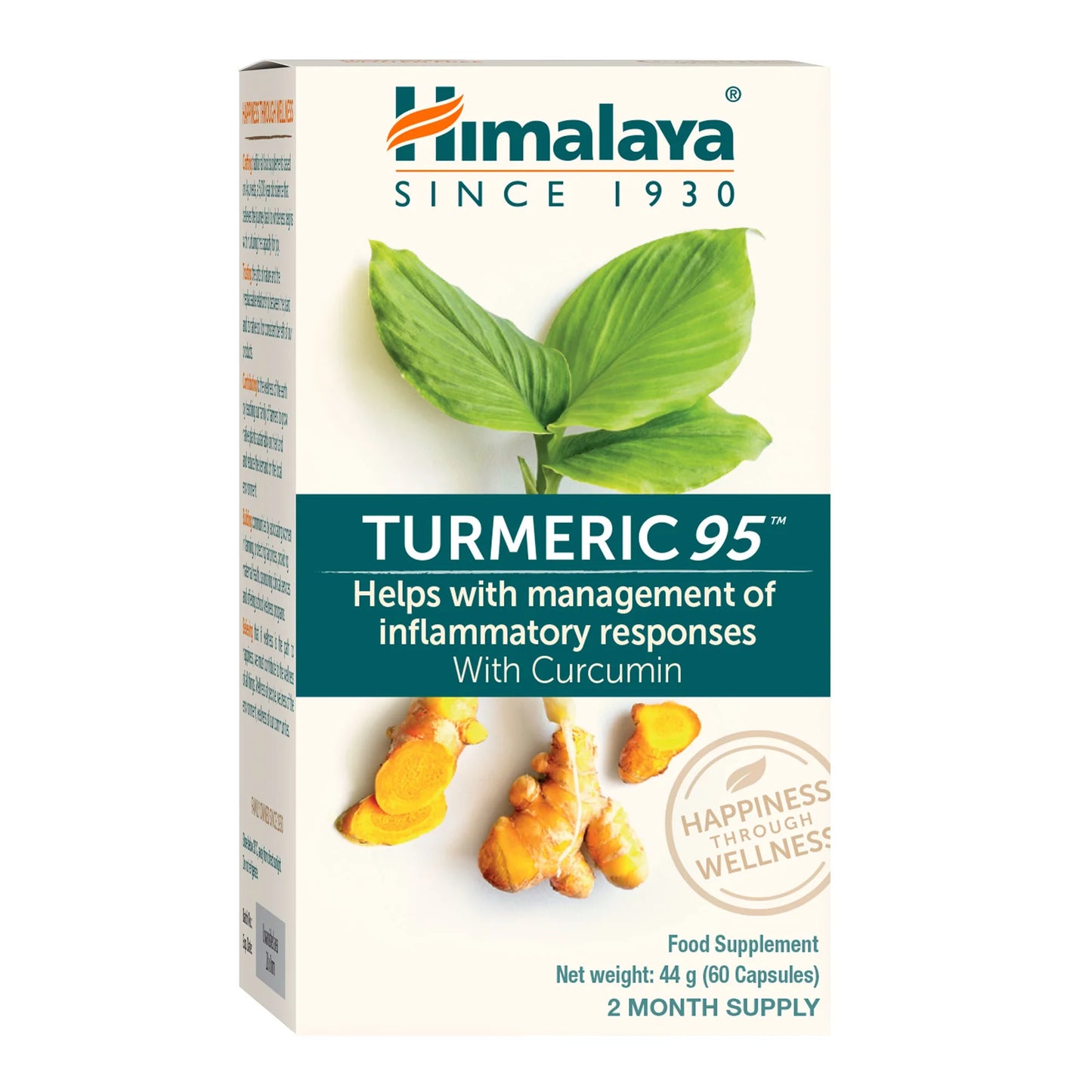 TURMERIC 95 (CURCUMIN) 60 TABLETA