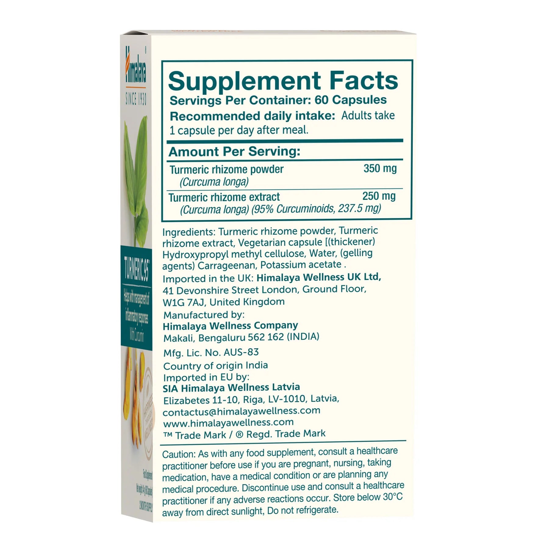 TURMERIC 95 (CURCUMIN) 60 TABLETA