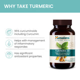 TURMERIC 95 (CURCUMIN) 60 TABLETA