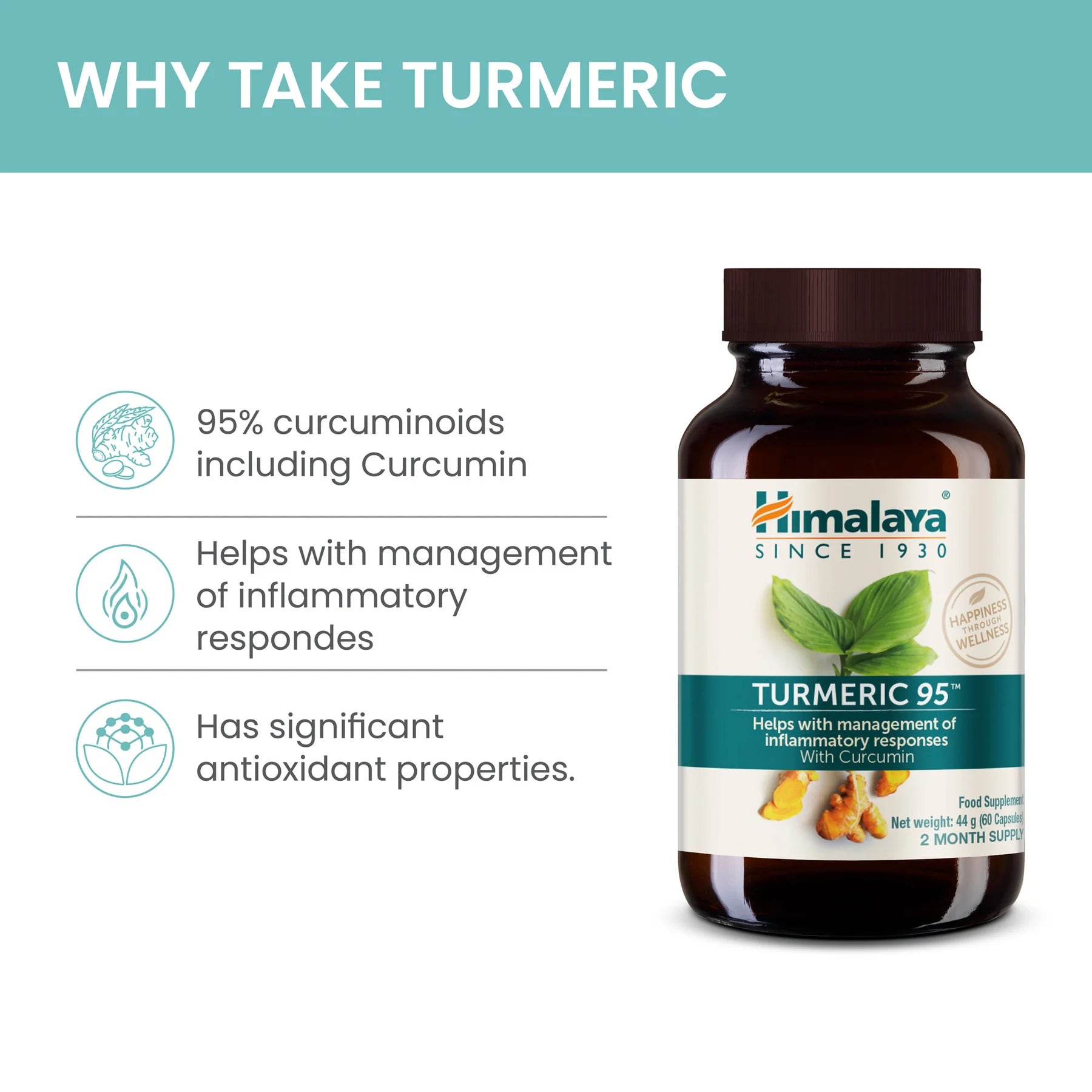 TURMERIC 95 (CURCUMIN) 60 TABLETA