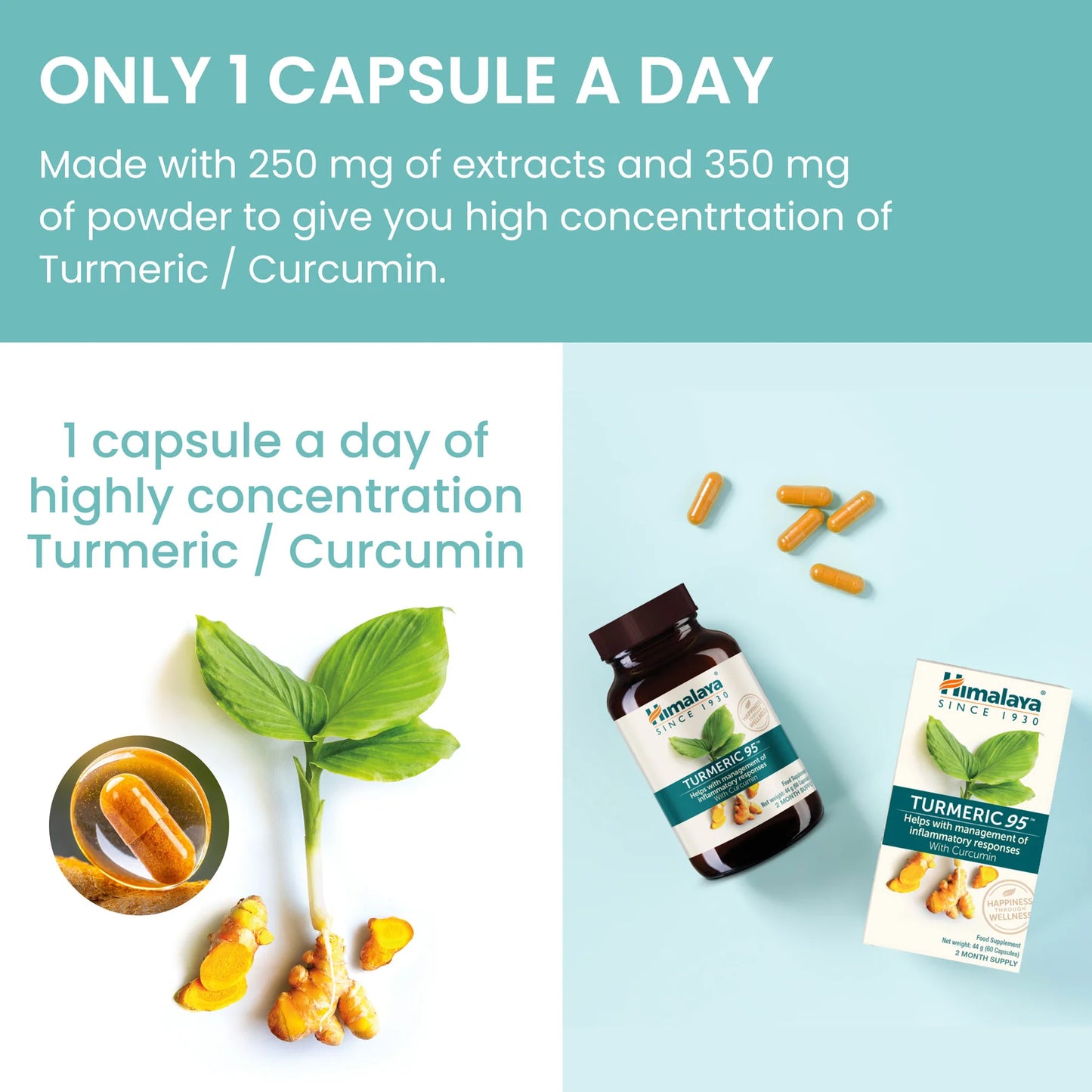 TURMERIC 95 (CURCUMIN) 60 TABLETA