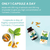 TURMERIC 95 (CURCUMIN) 60 TABLETA