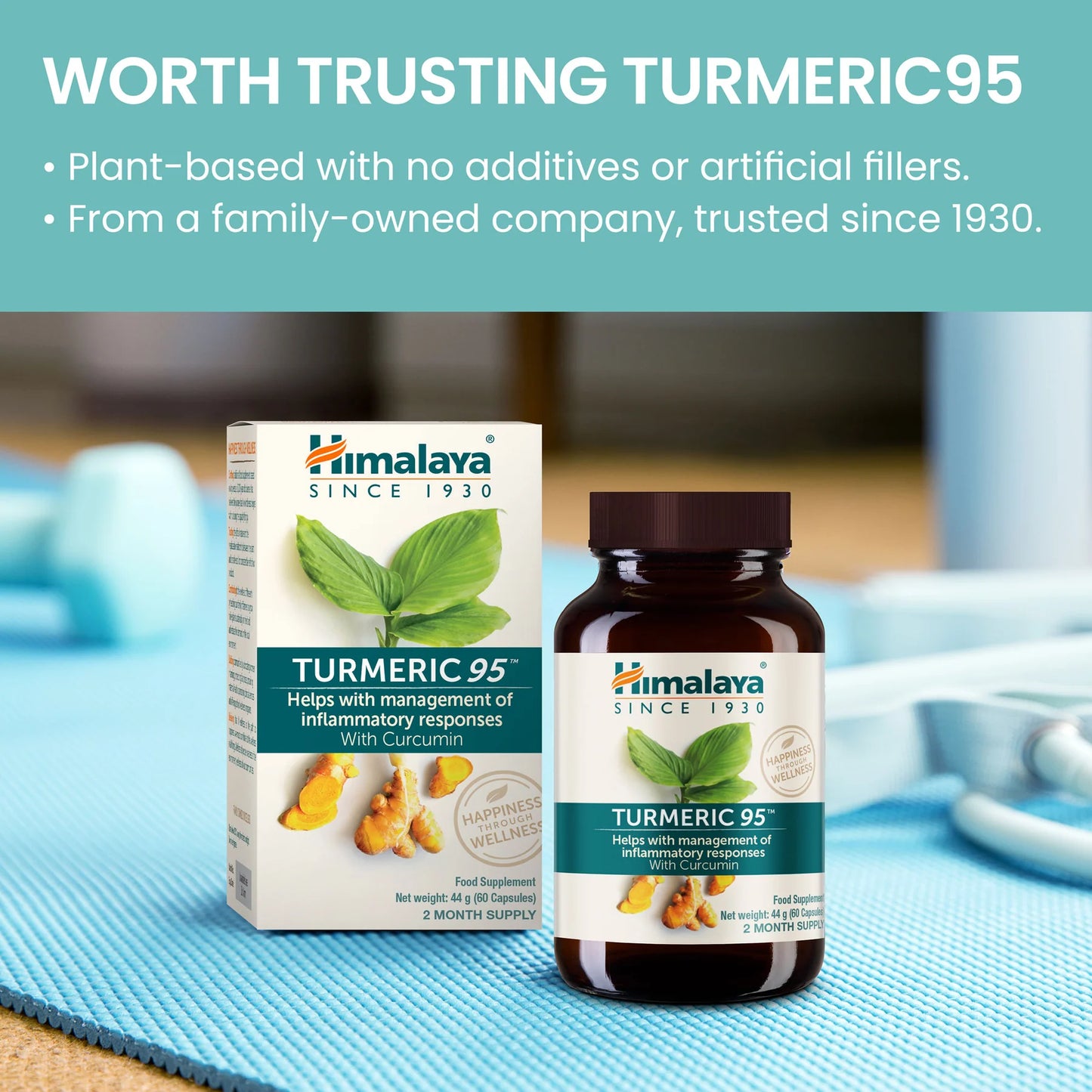 TURMERIC 95 (CURCUMIN) 60 TABLETA