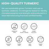 TURMERIC 95 (CURCUMIN) 60 TABLETA