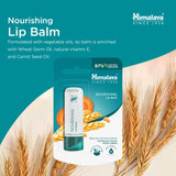 NOURISHING LIP BALM 4.5GR