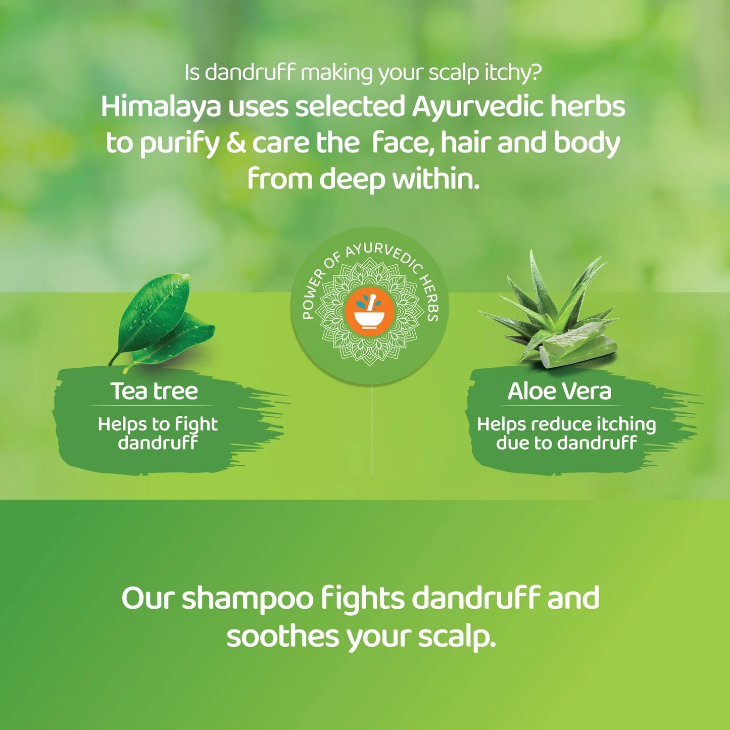 HIMALAYA ANTI-DANDRUFF SHAMPOO 400ML