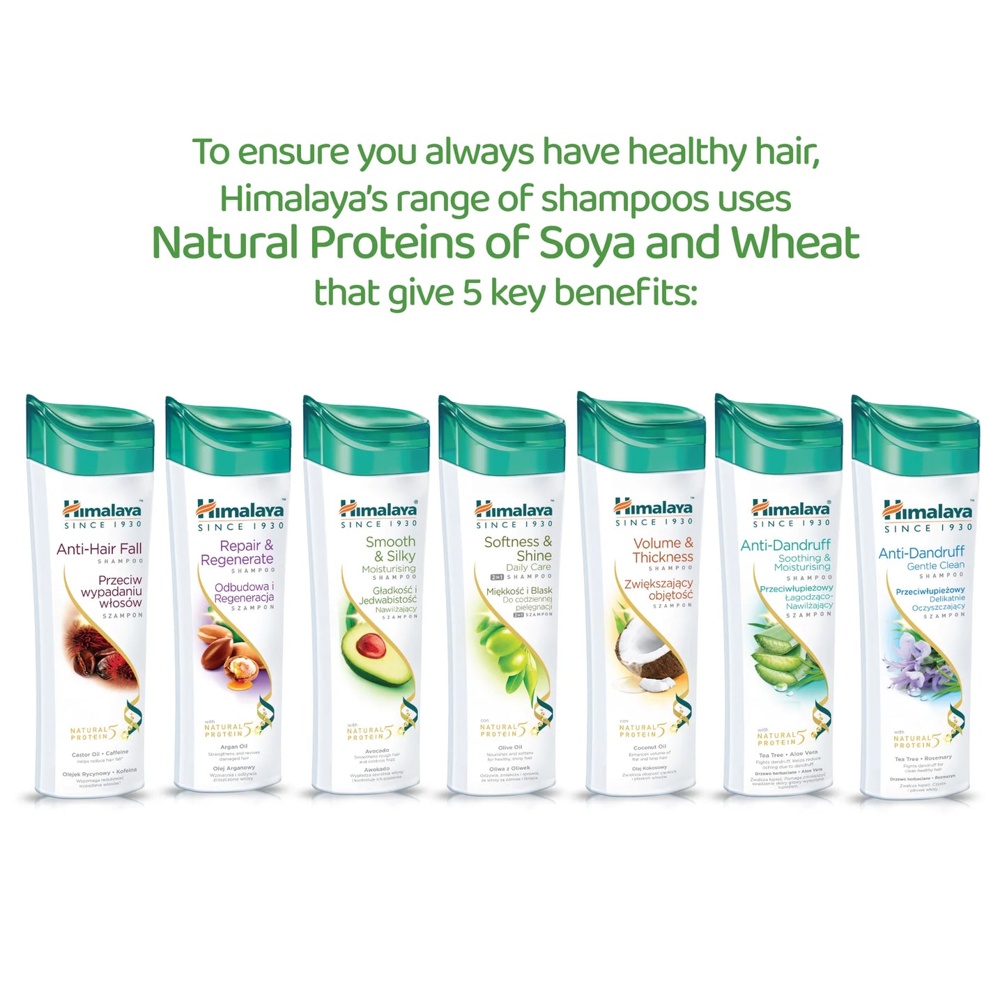 HIMALAYA SOFTNESS & SHINE SHAMPOO 400ML