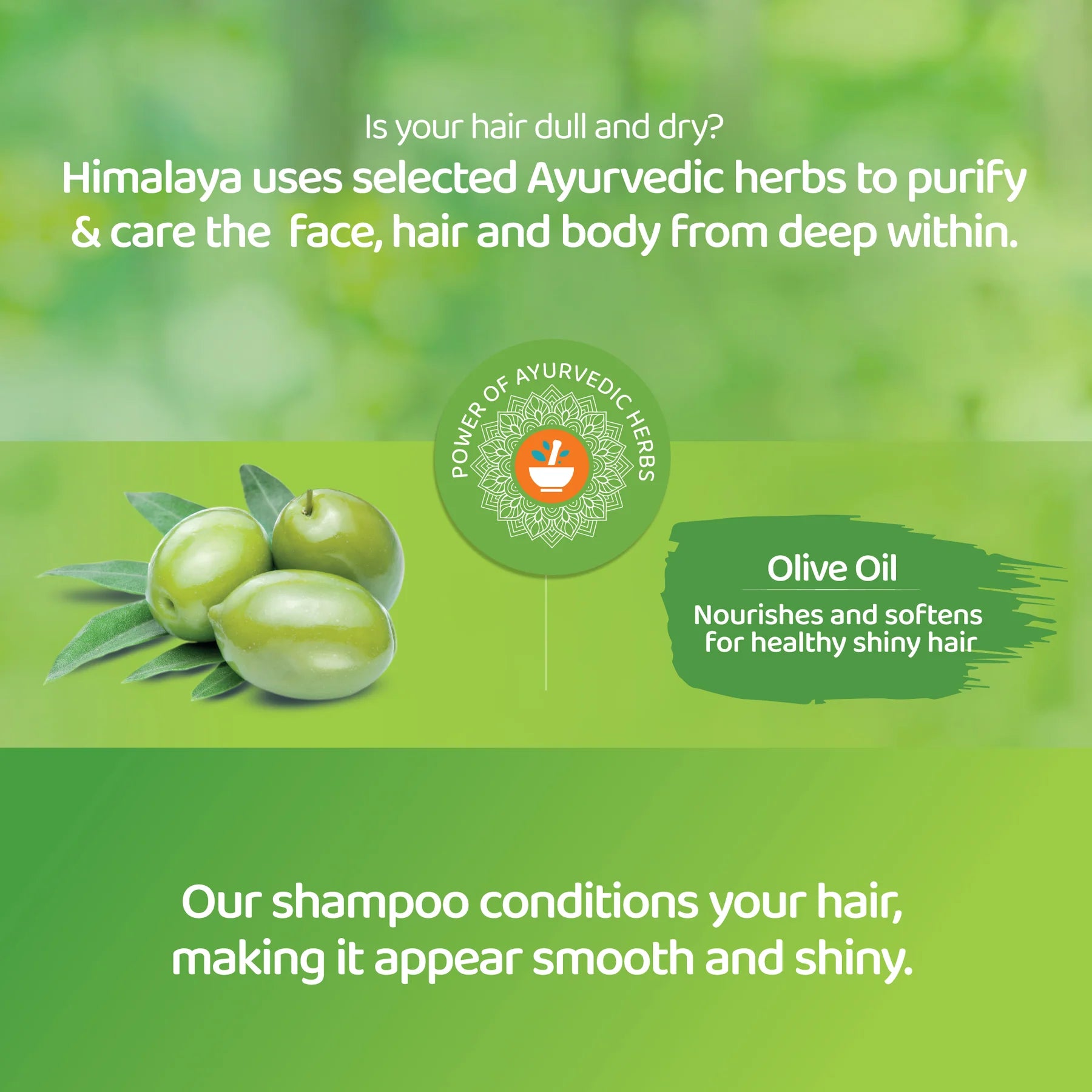 HIMALAYA SOFTNESS & SHINE SHAMPOO 400ML