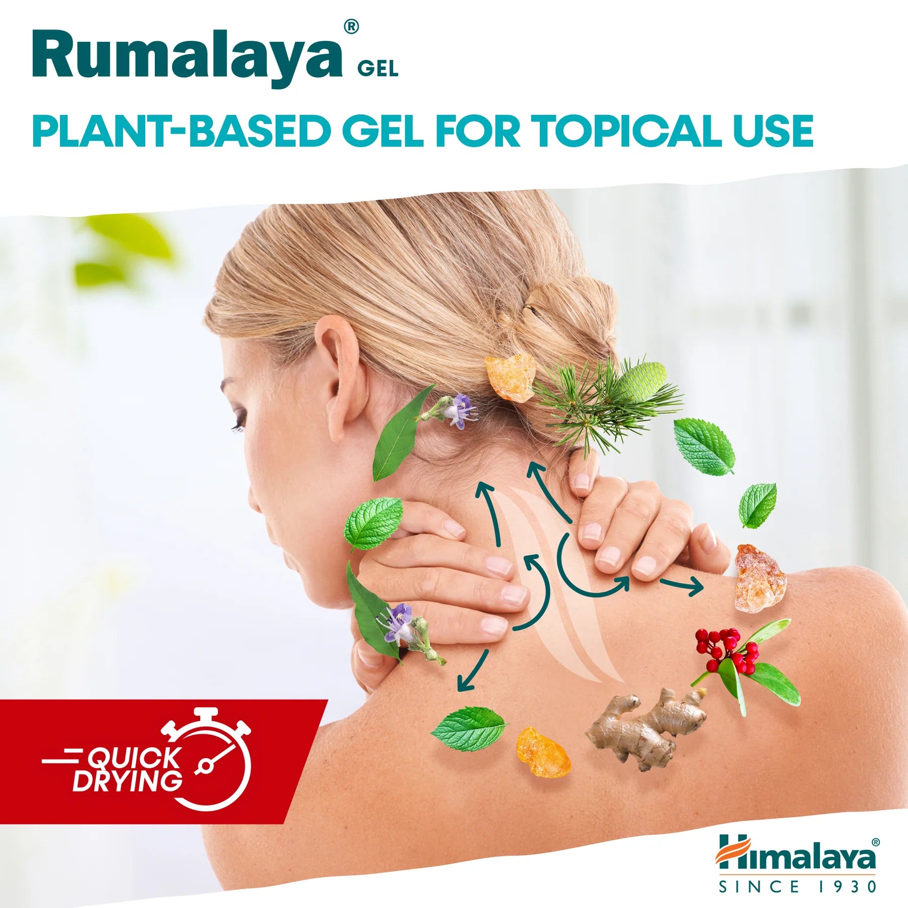 HIMALAYA RUMALAYA GEL 50G