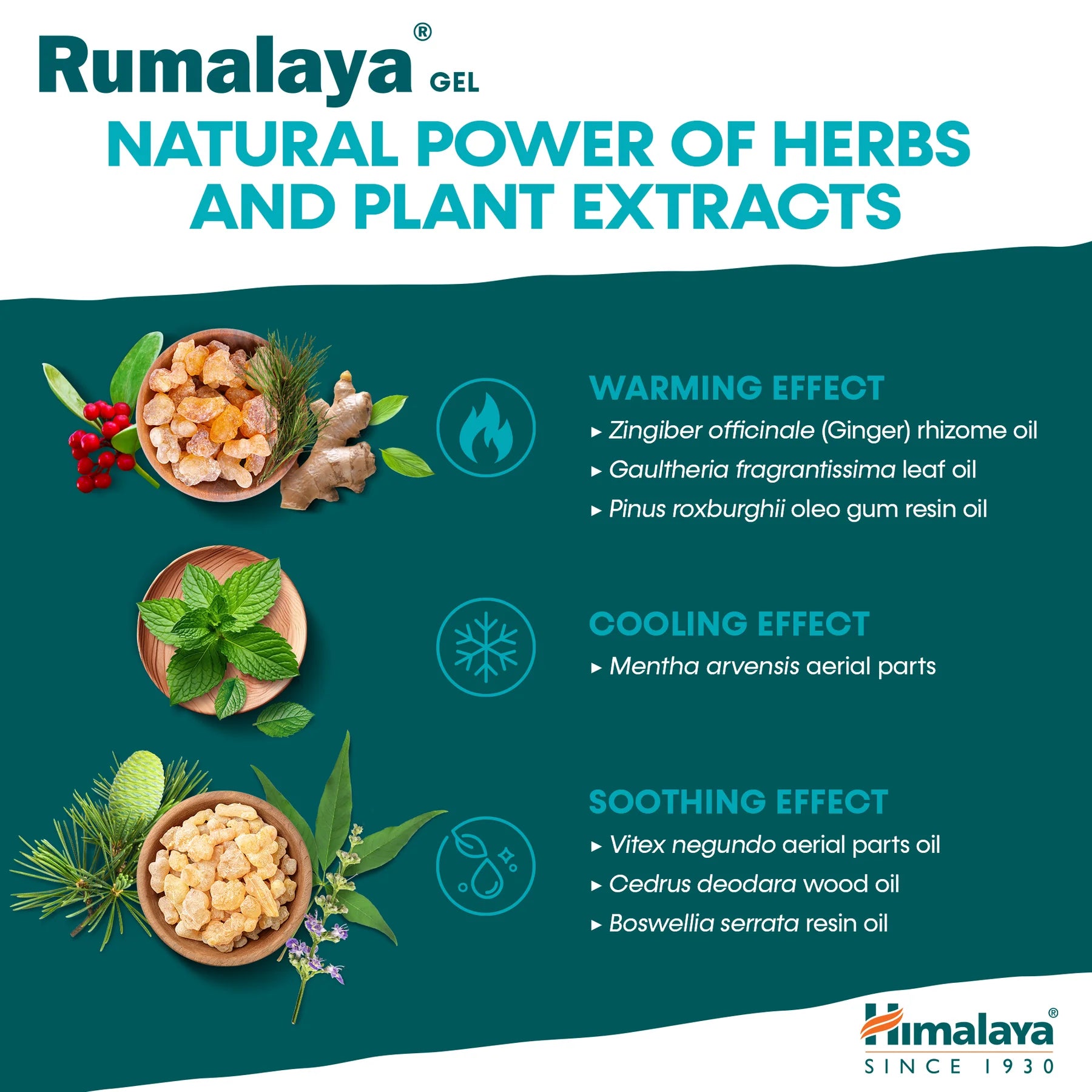 HIMALAYA RUMALAYA GEL 50G