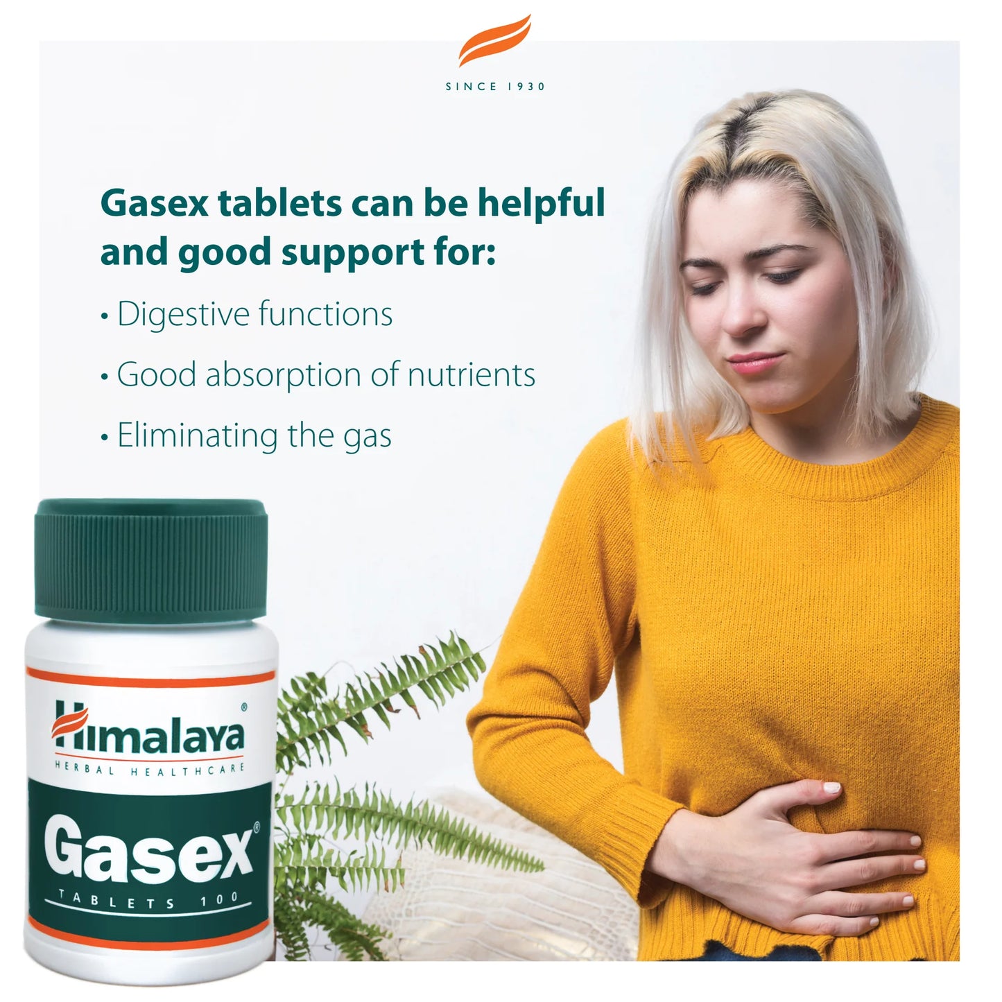 GASEX 100 TABLETA