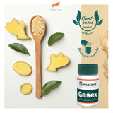 GASEX 100 TABLETA