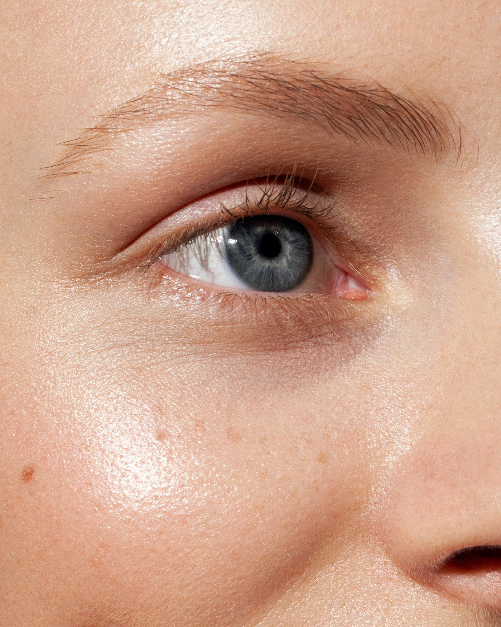The Brow Pencil