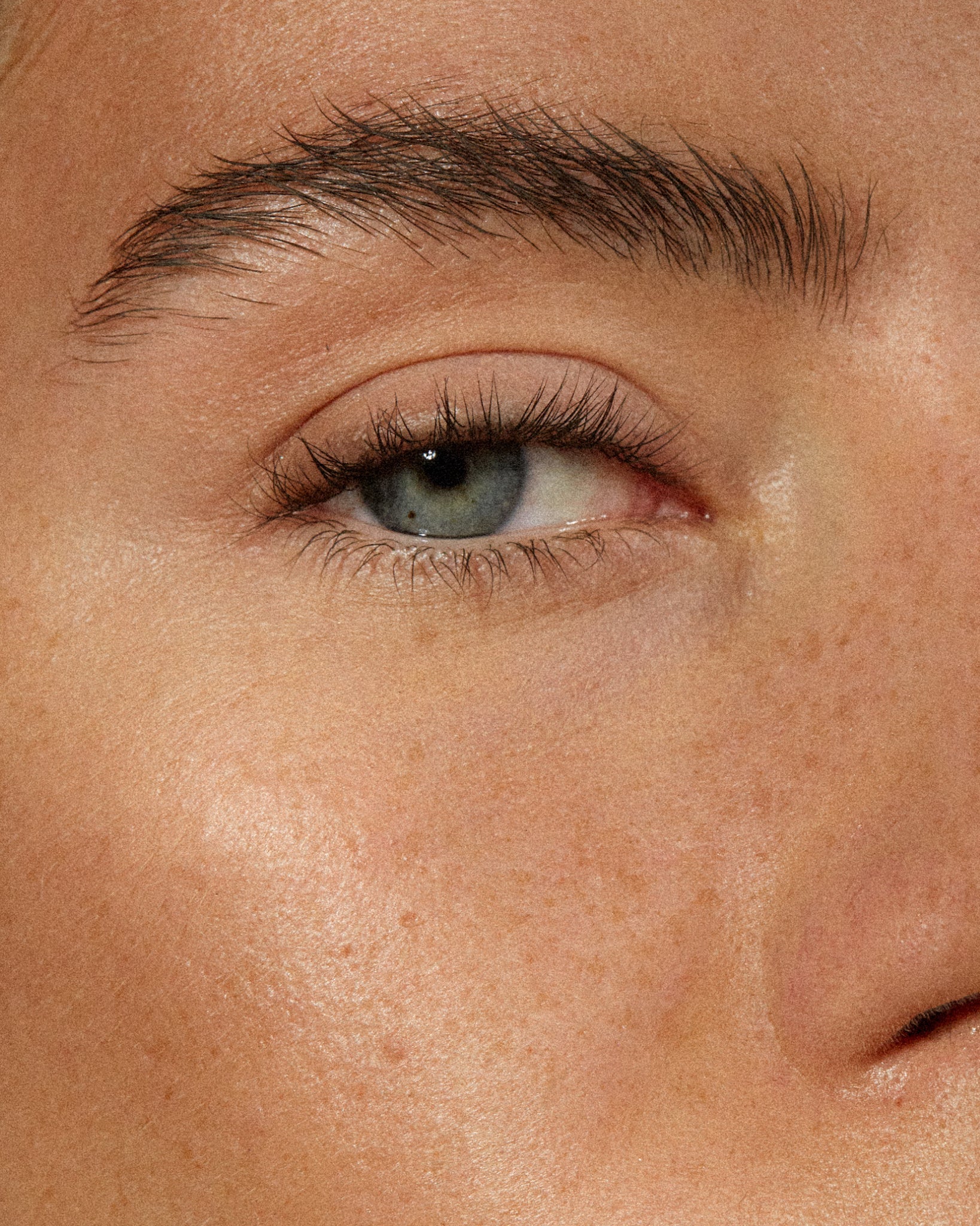 The Brow Pencil