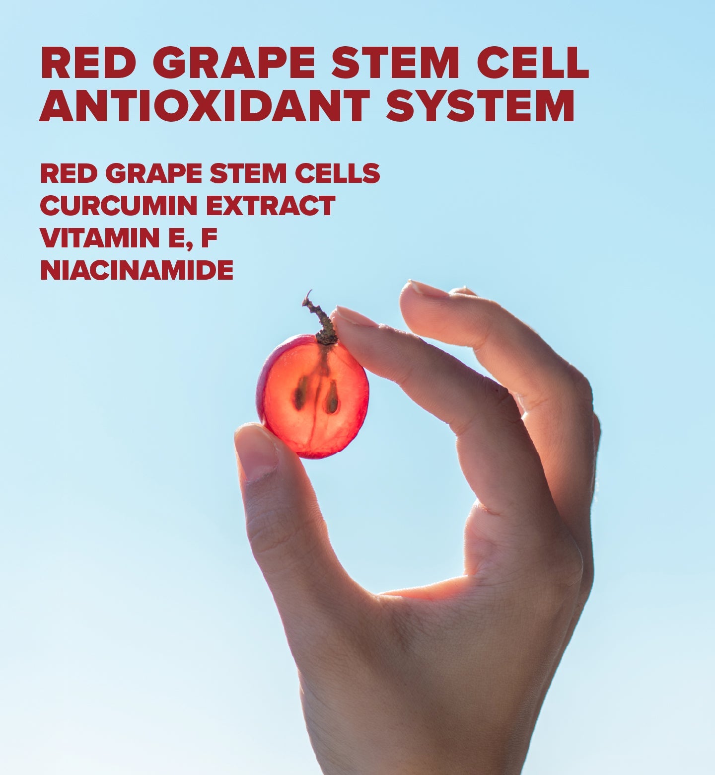 Red Grape Daily Sunscreen Face Cream SPF50 50ml