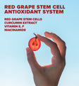 Red Grape Tinted Daily Sunscreen Face Cream SPF50 50ml