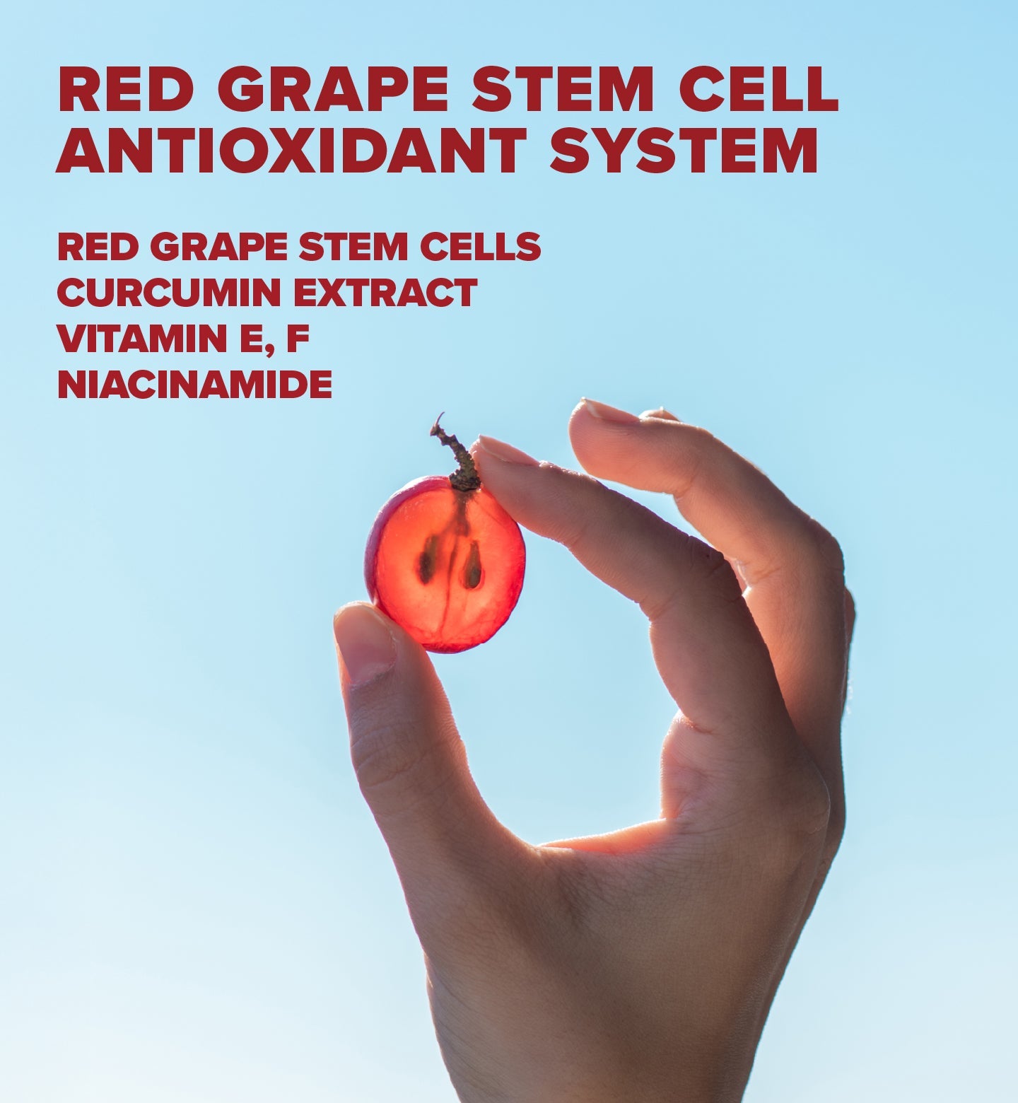 Red Grape Tinted Daily Sunscreen Face Cream SPF50 50ml