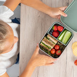 Silicone stainless steel lunch box