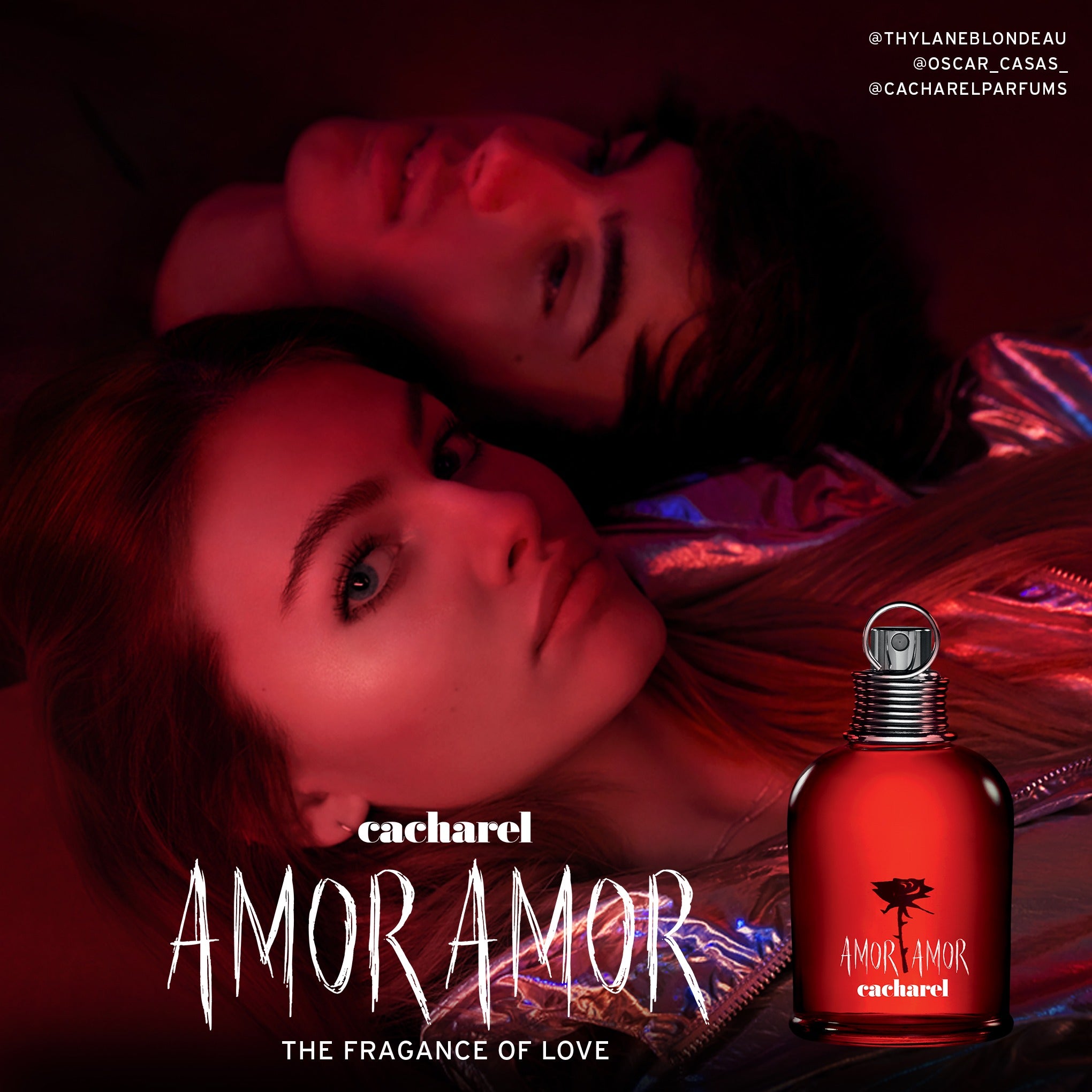 Amor Amor