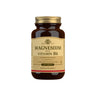 Solgar Magnesium + Vitamin B6*100 Tab