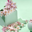 Moisturizing Light Cream Sakura Flower Water