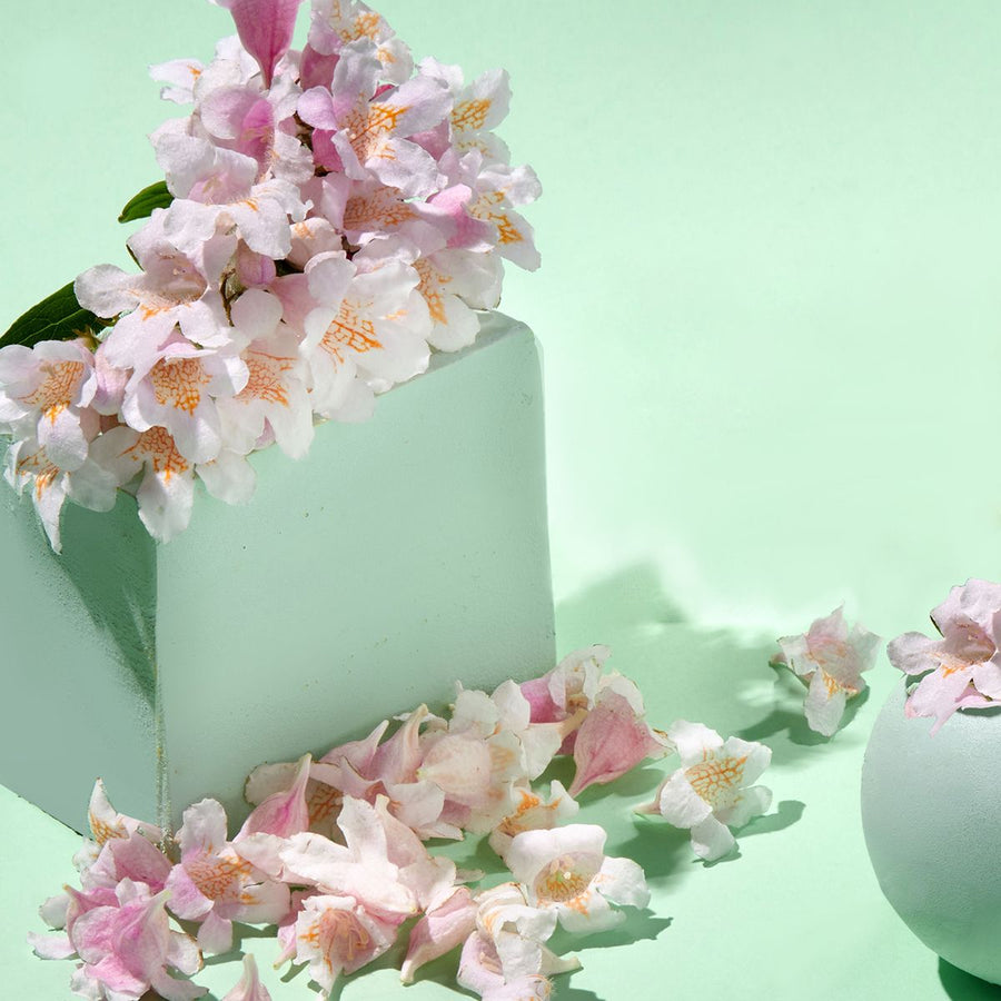 Moisturizing Light Cream Sakura Flower Water