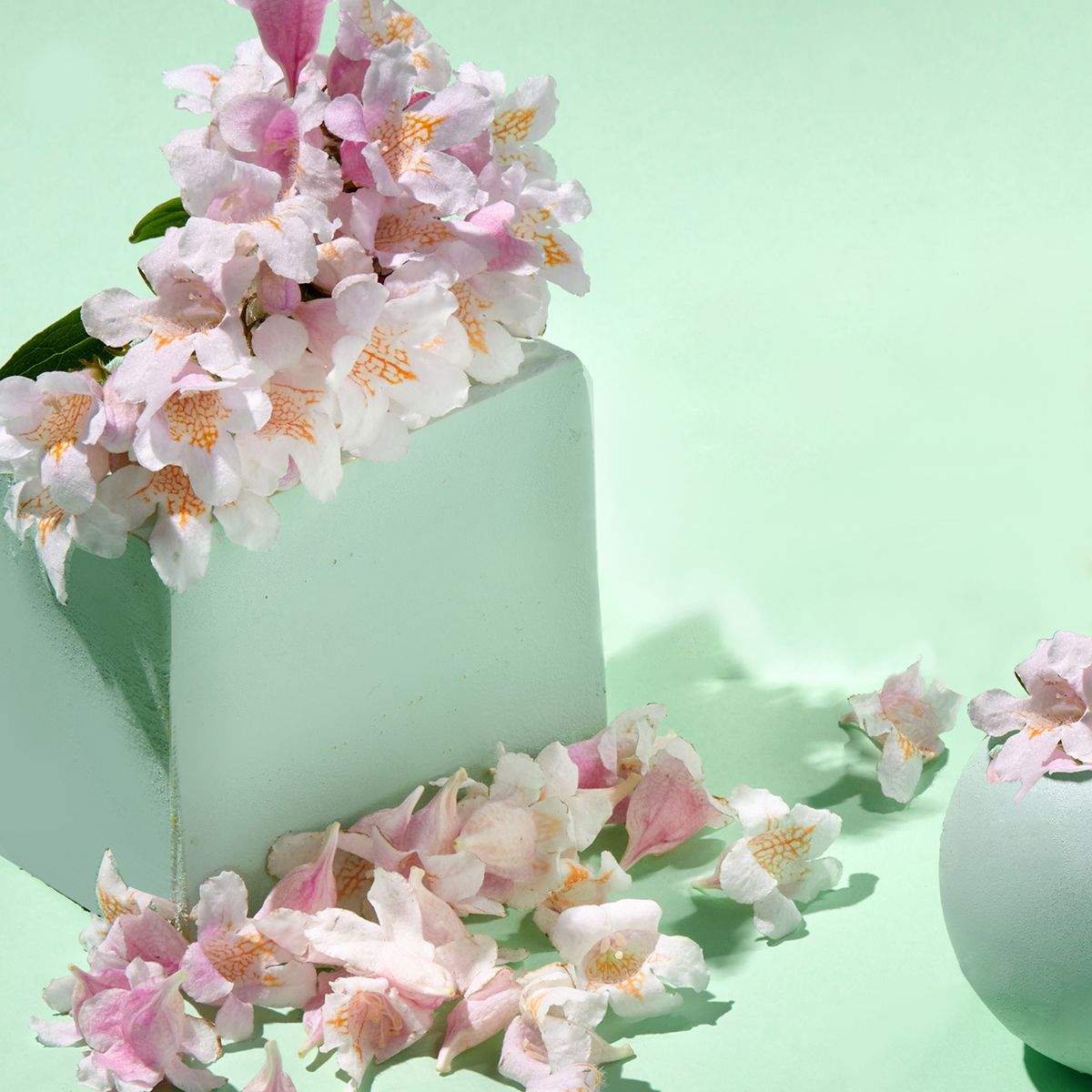 Moisturizing Rich Cream Sakura Flower Water