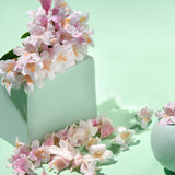 Moisturizing Rich Cream Sakura Flower Water