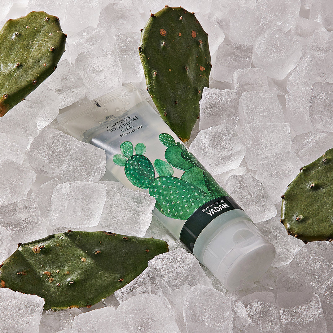 CACTUS SOOTHING GEL - 105ml