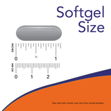 BOSWELLIA EXTRACT 500 MG 90 SGELS-NOW