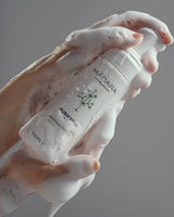 Purifying Foam