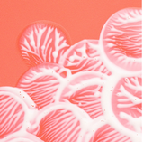 Dry Touch Invisible Face Fluid- SPF50