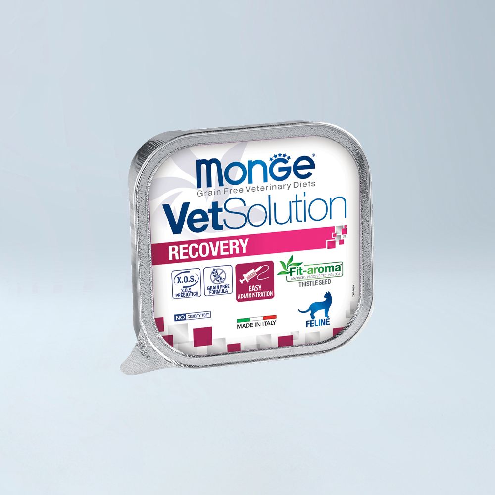 MONGE - VET MACE Recovery 100 gr