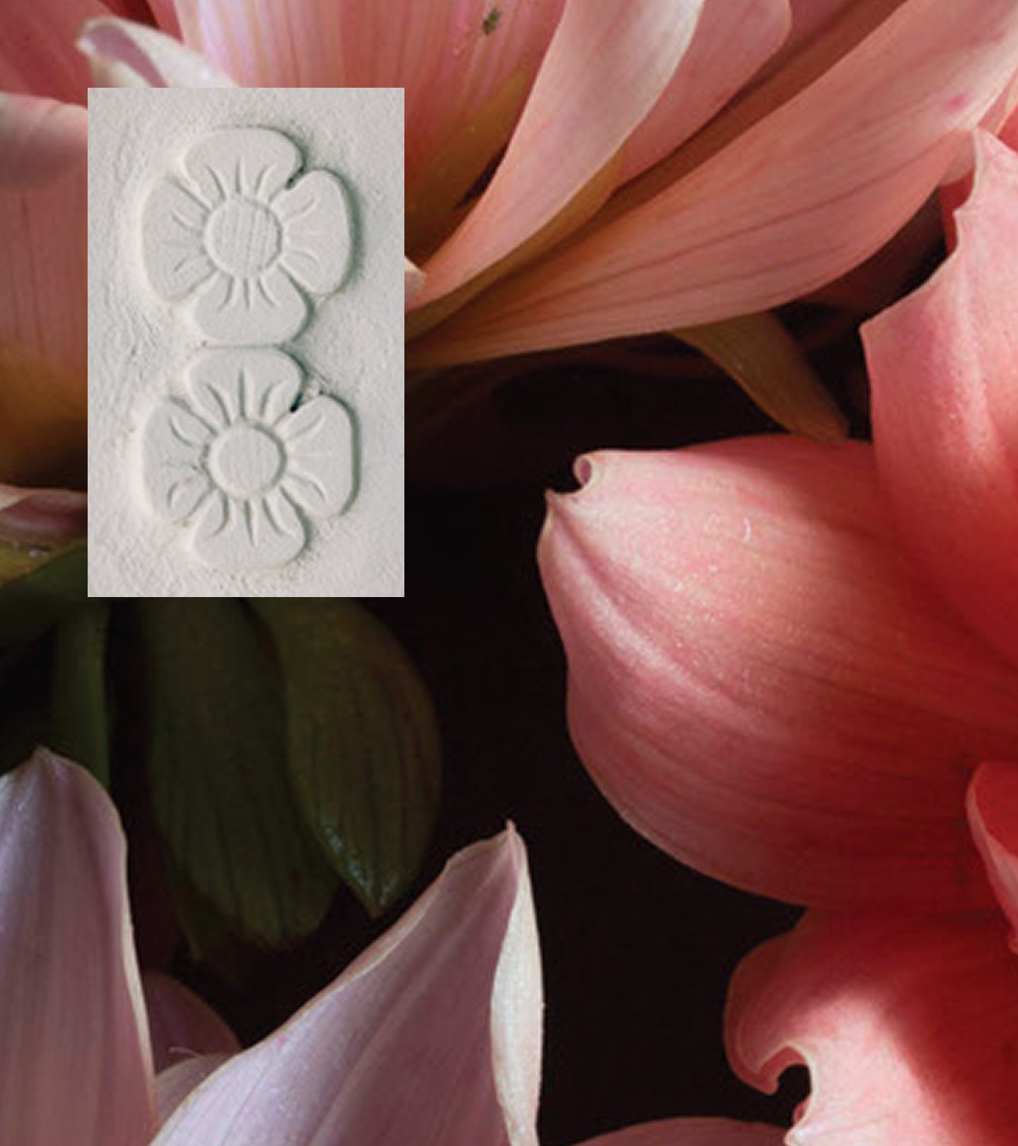 The Floral Collection Eau de Toilette Set