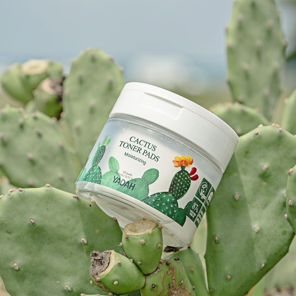 CACTUS TONER PADS
